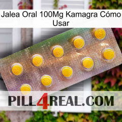 Jalea Oral 100Mg Kamagra Cómo Usar new11